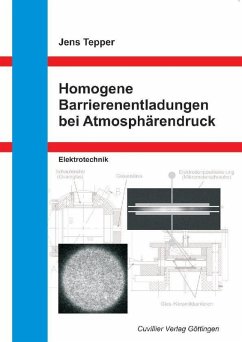 Cover Homogene Barrierenentladungen bei Atmosphärendruck (eBook, PDF)