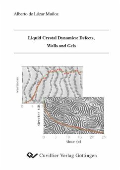 Liquid Crystal Dynamics: Defects, Walls and Gels (eBook, PDF)