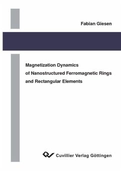 Magnetization Dynamics of Nanostructures Ferromagnetic Rings and Rectangular Elements (eBook, PDF)