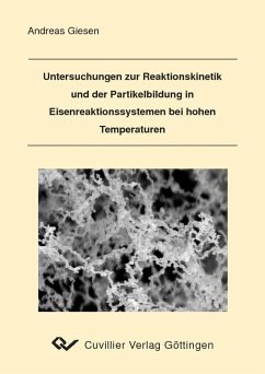 Untersuchungen zur Reaktionskinetik und der Partikelbildung in Eisenreaktionssystemen bei hohen Temperaturen (eBook, PDF)
