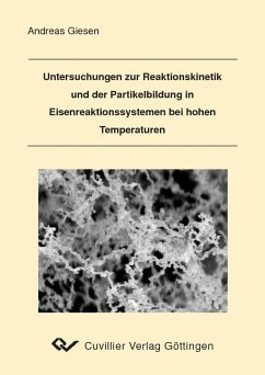 Cover Untersuchungen zur Reaktionskinetik und der Partikelbildung in Eisenreaktionssystemen bei hohen Temperaturen (eBook, PDF)