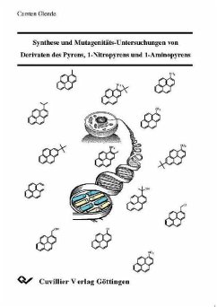 Synthese und Mutagenitäts-Untersuchungen von Derivaten des Pyrens, 1-Nitropyrens und 1-Aminopyrens (eBook, PDF)
