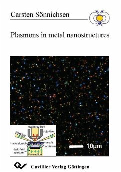Cover Plasmons in metal nanostructures (eBook, PDF)