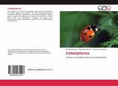 Coleópteros