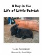 A Day in the Life of Little Patrick - Bild 1
