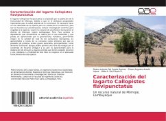 Caracterización del lagarto Callopistes flavipunctatus - Del Carpio Ramos, Pedro Antonio;Arbulú López, César Augusto;Del Carpio R., Hilda A.