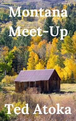 Cover Montana Meetup (eBook, ePUB)