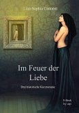 Im Feuer der Liebe (eBook, ePUB)