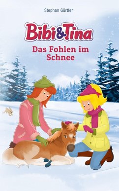 Bibi & Tina - Das Fohlen im Schnee (eBook, ePUB) - Gürtler, Stephan