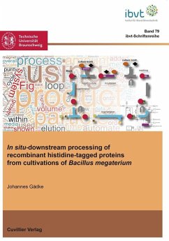 Cover In situ-downstream processing of recombinant histidine-tagged proteins from cultivations of Bacillus megaterium (eBook, PDF)