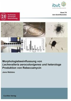 Cover Morphologiebeeinflussung von Lechevalieria aerocolonigenes und heterologe Produktion von Rebeccamycin (eBook, PDF)