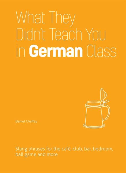 What They Didn't Teach You in German Class (eBook, ePUB)