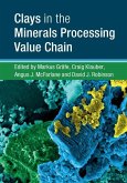 Clays in the Minerals Processing Value Chain (eBook, ePUB)