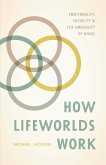 How Lifeworlds Work (eBook, ePUB)