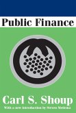 Public Finance (eBook, ePUB)