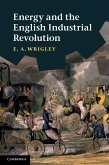Energy and the English Industrial Revolution (eBook, ePUB)