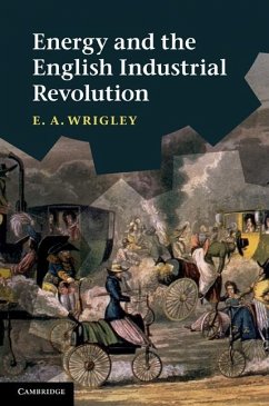 Energy and the English Industrial Revolution (eBook, ePUB) - Wrigley, E. A.