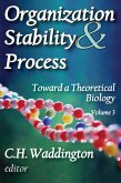 Organization Stability and Process (eBook, ePUB)