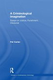 A Criminological Imagination (eBook, ePUB)