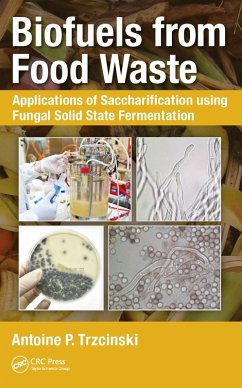 Cover Biofuels from Food Waste (eBook, PDF)