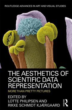 The Aesthetics of Scientific Data Representation (eBook, ePUB)