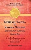 Light on Tantra in Kashmir Shaivism (eBook, ePUB)