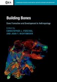 Building Bones: Bone Formation and Development in Anthropology (eBook, ePUB)