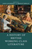 History of British Working Class Literature (eBook, ePUB)