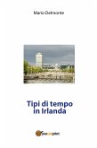 Tipi di tempo in Irlanda (eBook, PDF)