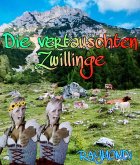 ALPENLAND_SAGA___&quote;Die vertauschten ZWILLINGE......&quote; (eBook, ePUB)