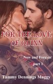 For the Love of Quinn (Now and Forever Part 1) (eBook, ePUB)