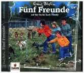 Fünf Freunde auf der Suche nach Timmy / Fünf Freunde Bd.124 (1 Audio-CD)