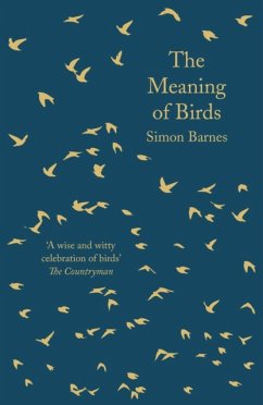 The Meaning of Birds - Barnes, Simon