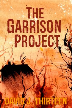 The Garrison Project (eBook, ePUB) - Thirteen, David J.