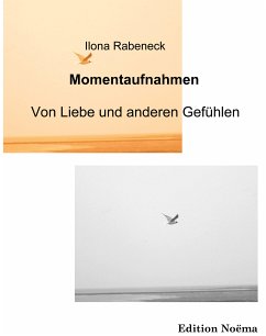 Momentaufnahmen - Von Liebe und anderen Gefühlen (eBook, PDF) - Rabeneck, Ilona; Rabeneck, Ilona