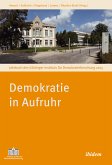 Demokratie in Aufruhr (eBook, PDF)