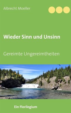 Wieder Sinn und Unsinn (eBook, ePUB)