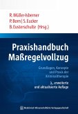 Praxishandbuch Maßregelvollzug (eBook, PDF)