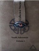 Collected Stories: Youth Adventure 3 (eBook, ePUB)
