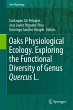 Oaks Physiological Ecology. Exploring... - Bild 1
