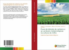Fluxo de dióxido de carbono e as variáveis meteorológicas na cultura do milho