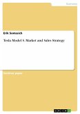 Tesla Model S. Market and Sales Strategy