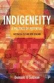 Indigeneity: A Politics of Potential (eBook, ePUB)
