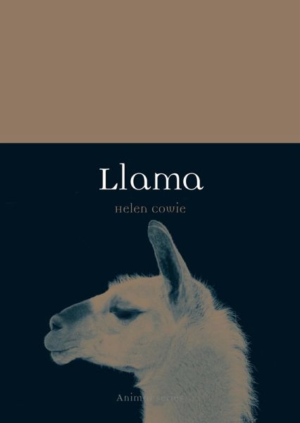 Llama (eBook, ePUB) Llama (eBook, ePUB)