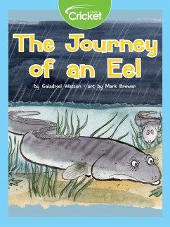Cover Journey of an Eel (eBook, PDF)
