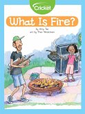 What Is Fire? (eBook, PDF)