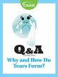 Why and How Do Tears Form? (eBook, PDF) - Bild 1