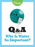 Why is Water So Important? (eBook, PDF)