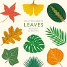 The Little Guide to Leaves (eBook, ePUB) - Bild 1