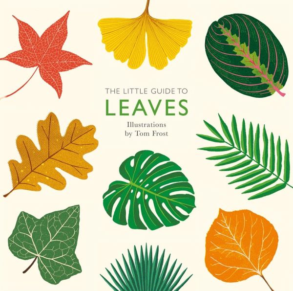 The Little Guide to Leaves (eBook, ePUB)
